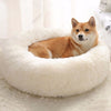 Cat Dog Bed